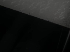 पॉलीस्टाइरीन शीट्स