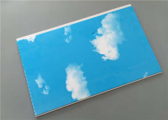 ब्लू स्काई गेराज संगठन दीवार पैनलों, बाथरूम के लिए टुकड़े टुकड़े दीवार पैनलों