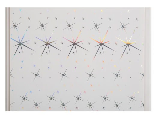 बाथरूम 25 सेमी 30 सेमी चौड़ाई के लिए आर्थिक सजावटी निविड़ अंधकार दीवार पैनलों