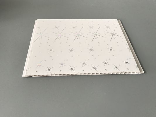 बाथरूम 25 सेमी 30 सेमी चौड़ाई के लिए आर्थिक सजावटी निविड़ अंधकार दीवार पैनलों