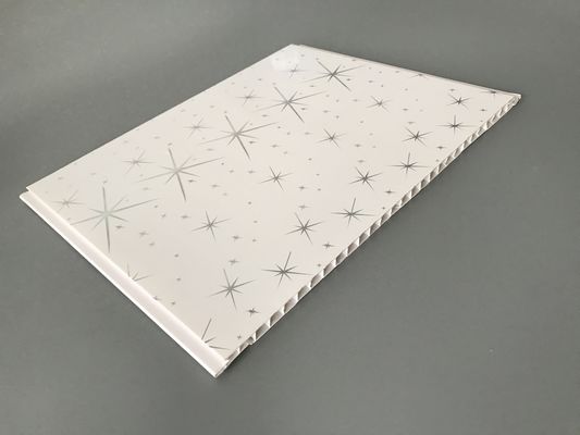 बाथरूम 25 सेमी 30 सेमी चौड़ाई के लिए आर्थिक सजावटी निविड़ अंधकार दीवार पैनलों