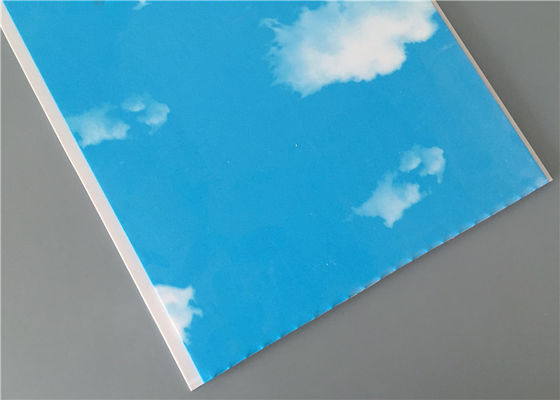 ब्लू स्काई गेराज संगठन दीवार पैनलों, बाथरूम के लिए टुकड़े टुकड़े दीवार पैनलों